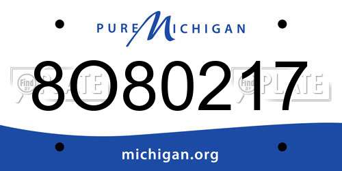 8O80217 Michigan License Plate