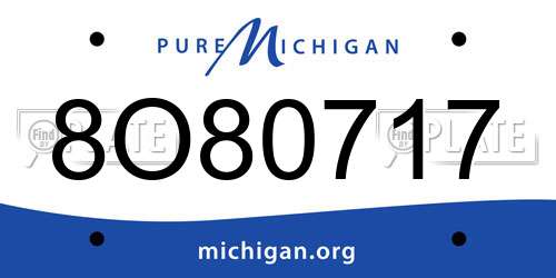 8O80717 Michigan License Plate