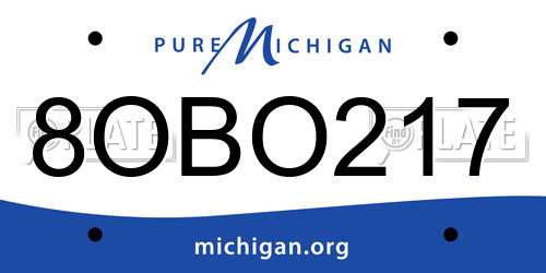8OBO217 Michigan License Plate