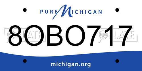 8OBO717 Michigan License Plate