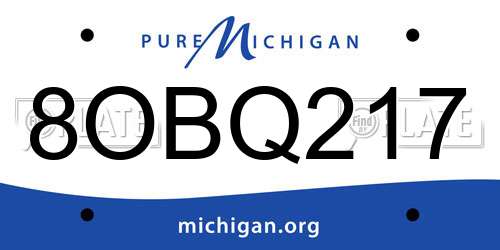 8OBQ217 Michigan License Plate
