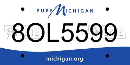 8OL5599 Michigan License Plate