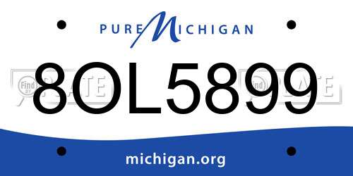 8OL5899 Michigan License Plate