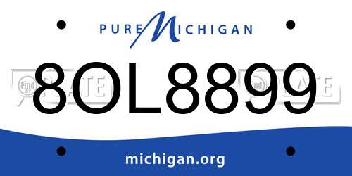 8OL8899 Michigan License Plate