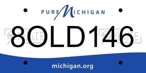 8OLD146 Michigan License Plate