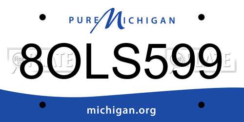 8OLS599 Michigan License Plate