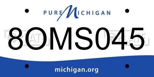 8OMS045 Michigan License Plate