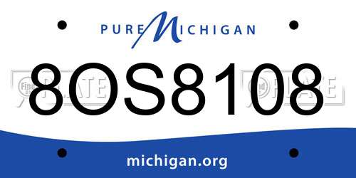 8OS8108 Michigan License Plate