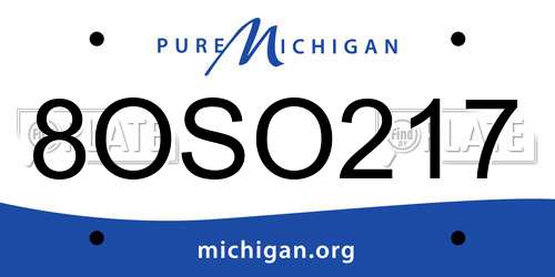 8OSO217 Michigan License Plate