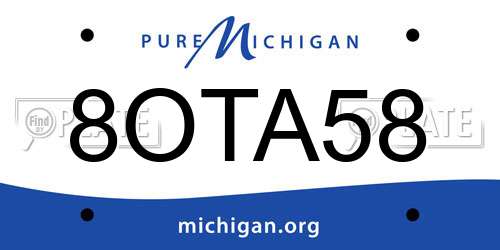 8OTA58 Michigan License Plate
