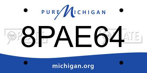 8PAE64 Michigan License Plate