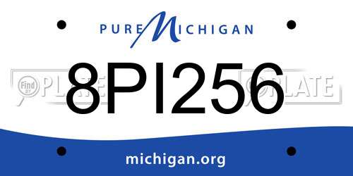 8PI256 Michigan License Plate
