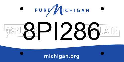 8PI286 Michigan License Plate