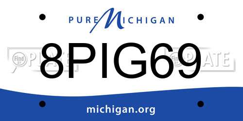 8PIG69 Michigan License Plate