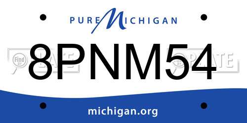 8PNM54 Michigan License Plate