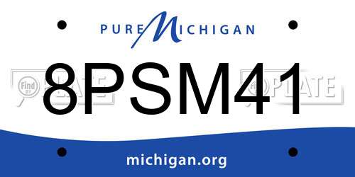 8PSM41 Michigan License Plate