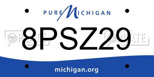 8PSZ29 Michigan License Plate