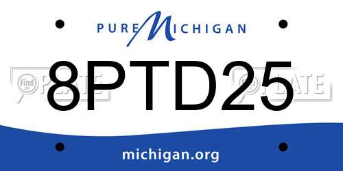 8PTD25 Michigan License Plate