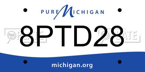 8PTD28 Michigan License Plate