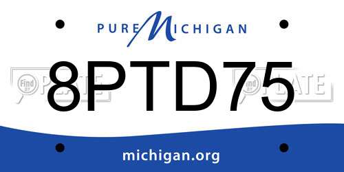 8PTD75 Michigan License Plate