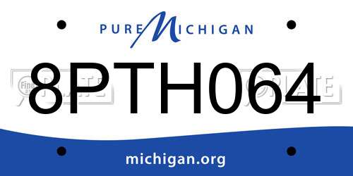 8PTH064 Michigan License Plate