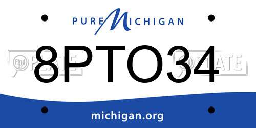 8PTO34 Michigan License Plate