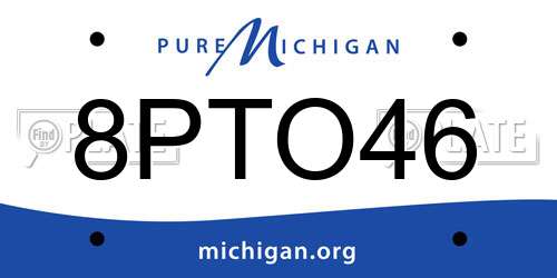 8PTO46 Michigan License Plate