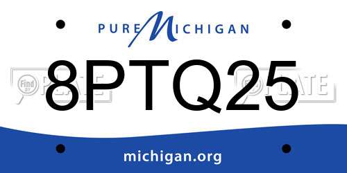 8PTQ25 Michigan License Plate