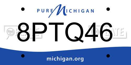 8PTQ46 Michigan License Plate