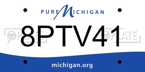 8PTV41 Michigan License Plate