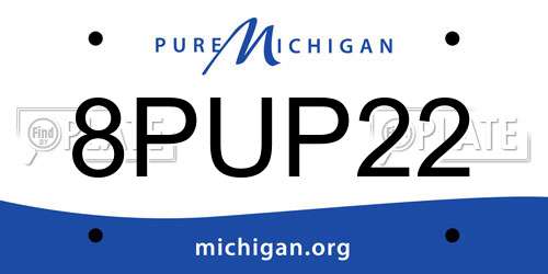 8PUP22 Michigan License Plate