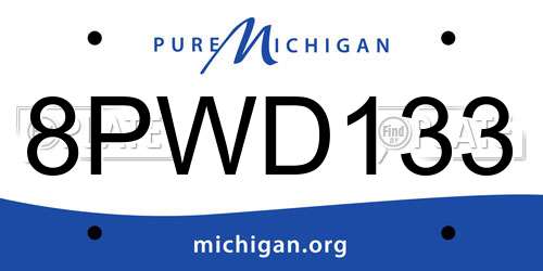 8PWD133 Michigan License Plate