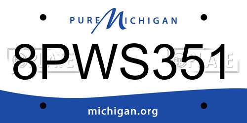 8PWS351 Michigan License Plate