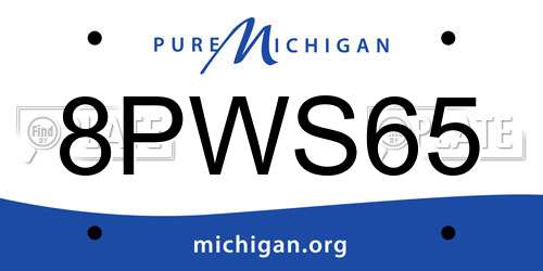8PWS65 Michigan License Plate