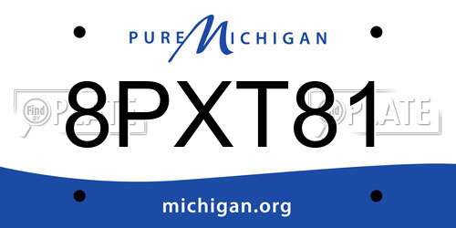 8PXT81 Michigan License Plate