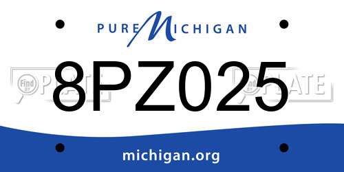 8PZ025 Michigan License Plate