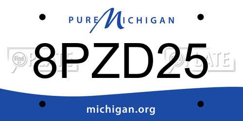 8PZD25 Michigan License Plate