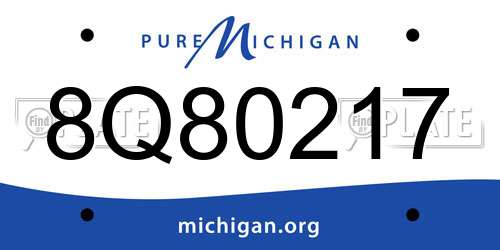 8Q80217 Michigan License Plate
