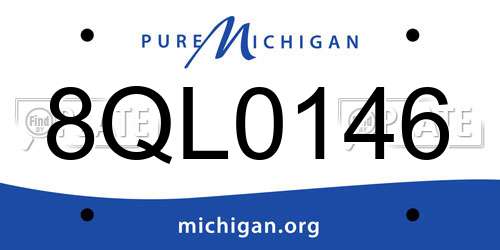 8QL0146 Michigan License Plate
