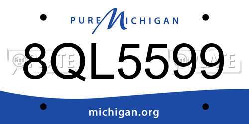 8QL5599 Michigan License Plate