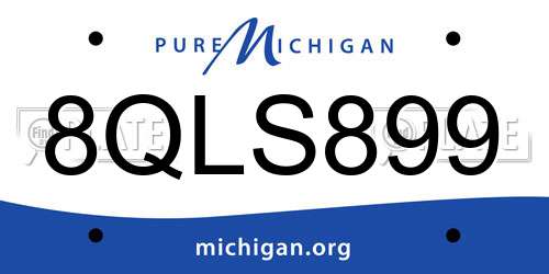 8QLS899 Michigan License Plate