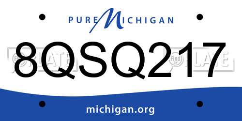 8QSQ217 Michigan License Plate