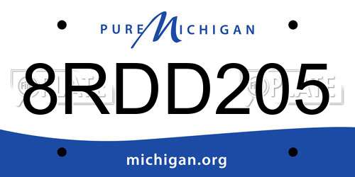 8RDD205 Michigan License Plate