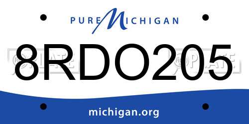 8RDO205 Michigan License Plate