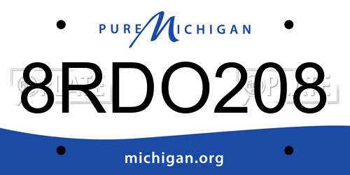 8RDO208 Michigan License Plate