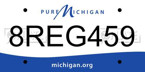 8REG459 Michigan License Plate
