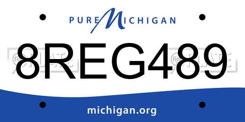 8REG489 Michigan License Plate