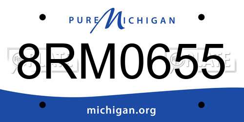 8RM0655 Michigan License Plate