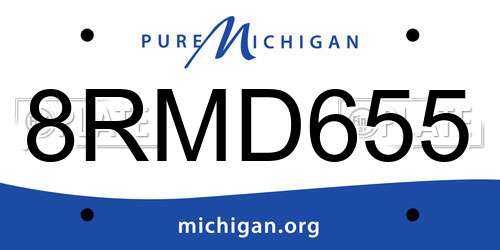 8RMD655 Michigan License Plate