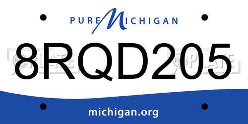 8RQD205 Michigan License Plate